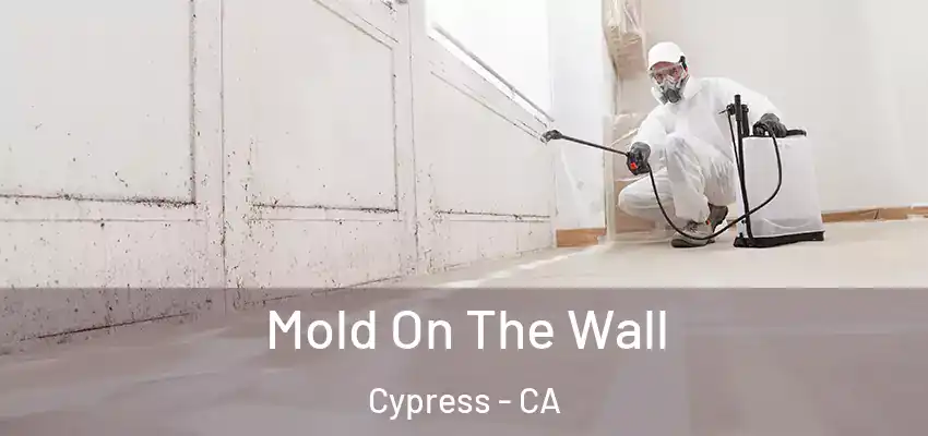 Mold On The Wall Cypress - CA