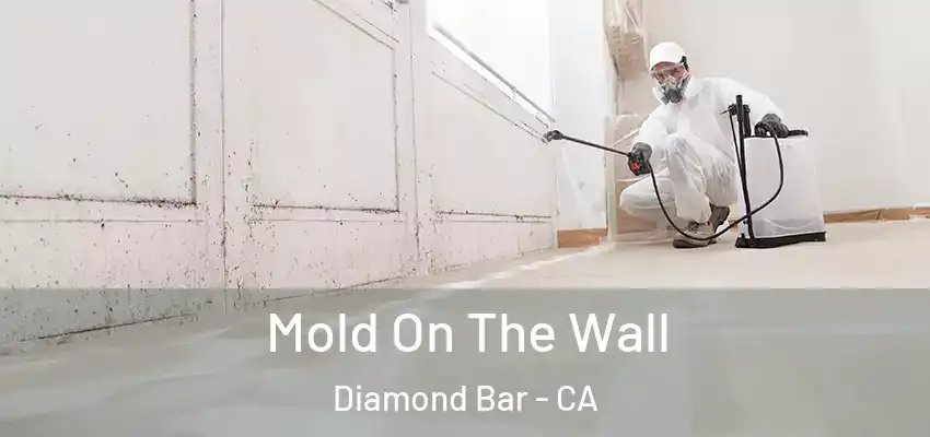  Mold On The Wall Diamond Bar - CA
