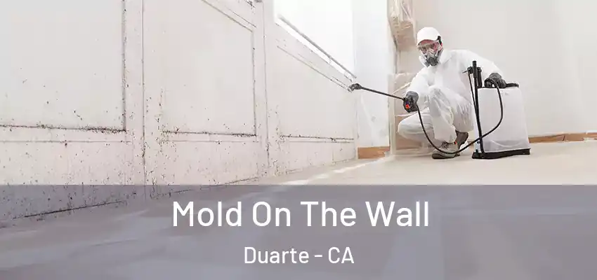  Mold On The Wall Duarte - CA