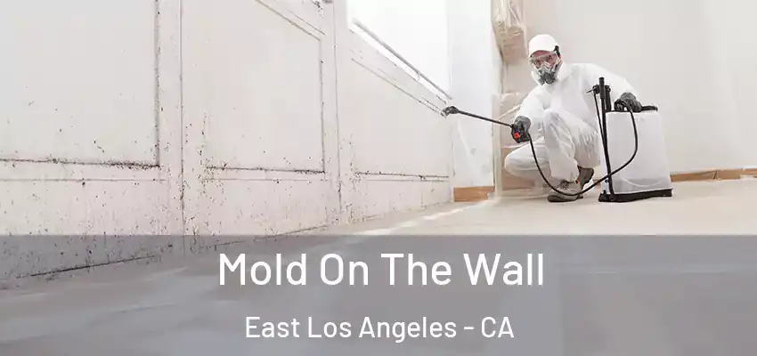  Mold On The Wall East Los Angeles - CA