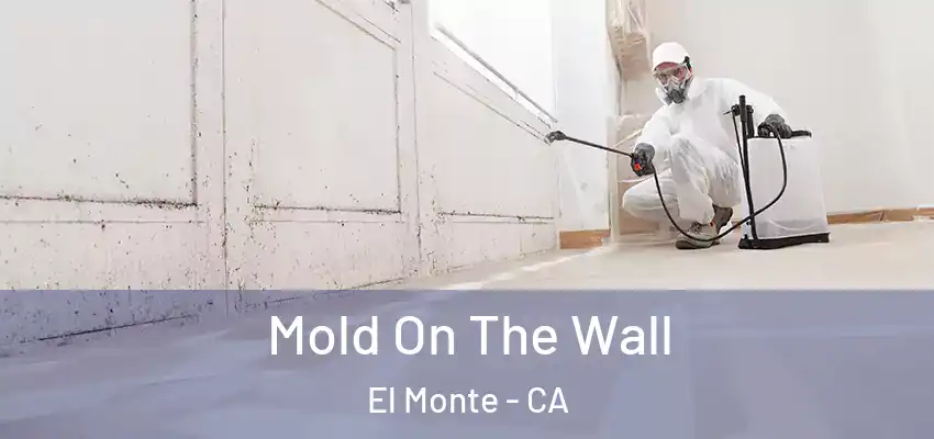 Mold On The Wall El Monte - CA