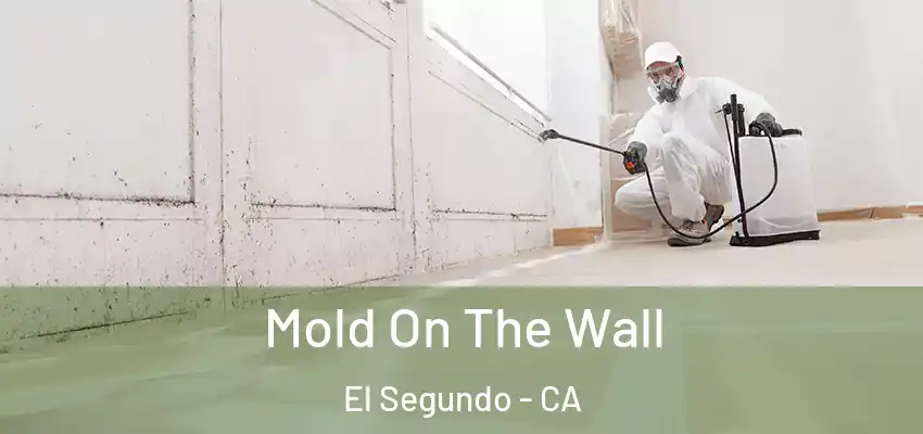 Mold On The Wall El Segundo - CA