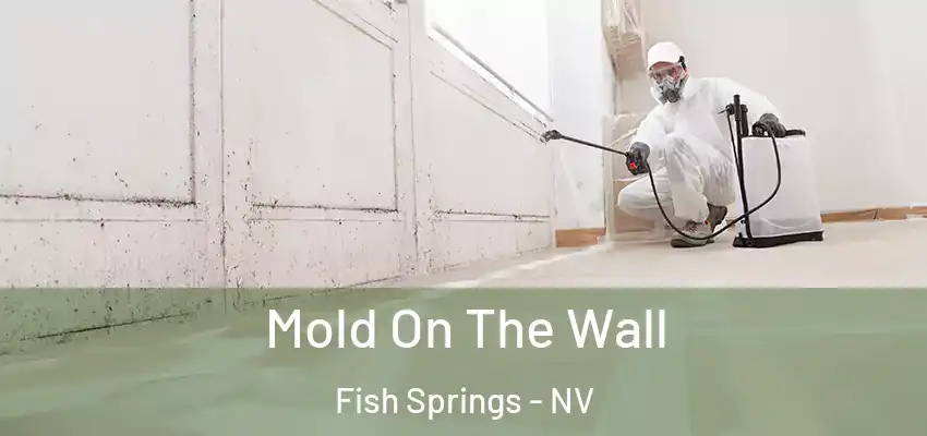  Mold On The Wall Fish Springs - NV