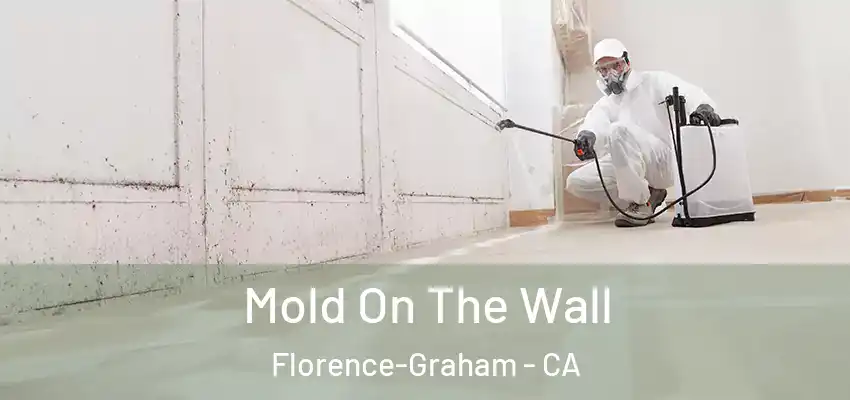  Mold On The Wall Florence-Graham - CA