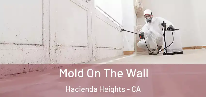  Mold On The Wall Hacienda Heights - CA
