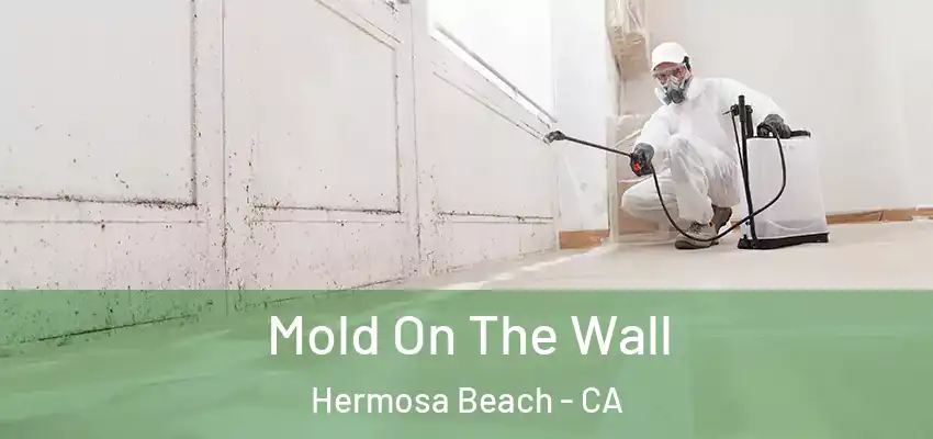  Mold On The Wall Hermosa Beach - CA