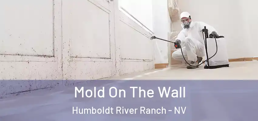  Mold On The Wall Humboldt River Ranch - NV