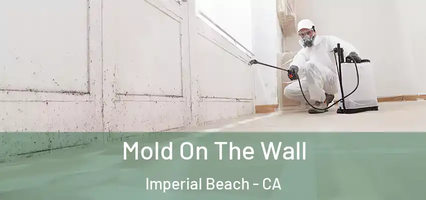  Mold On The Wall Imperial Beach - CA