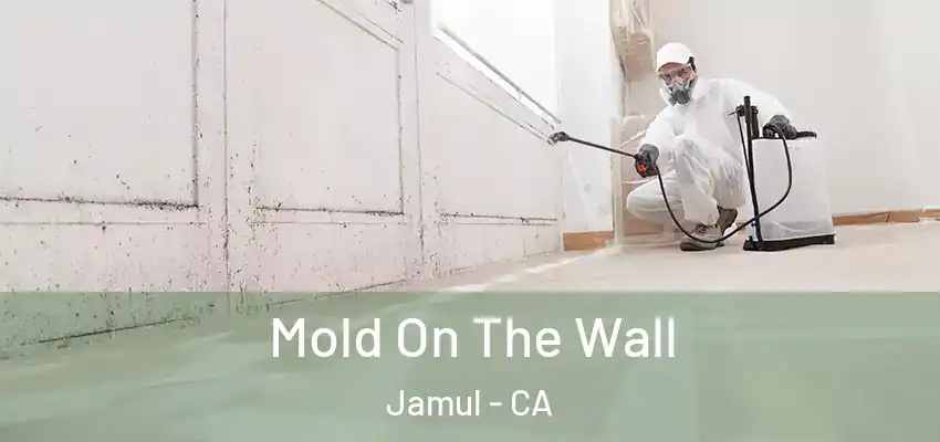  Mold On The Wall Jamul - CA
