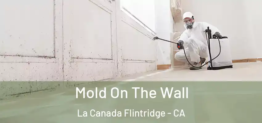  Mold On The Wall La Canada Flintridge - CA