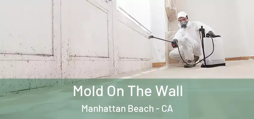  Mold On The Wall Manhattan Beach - CA