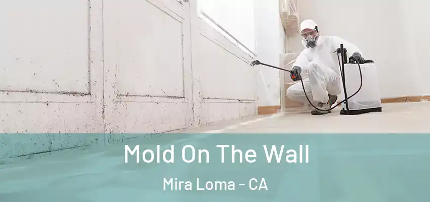 Mold On The Wall Mira Loma - CA