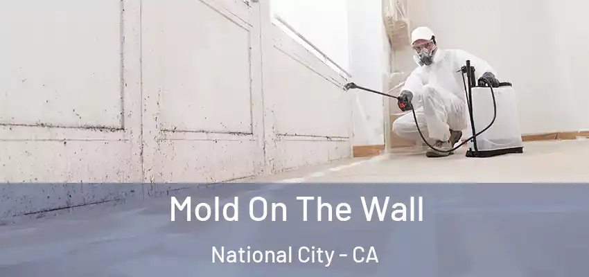 Mold On The Wall National City - CA