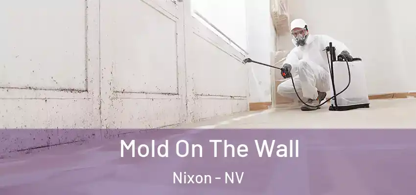 Mold On The Wall Nixon - NV