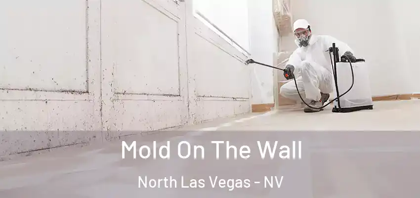  Mold On The Wall North Las Vegas - NV
