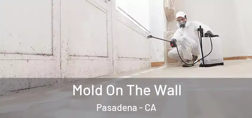  Mold On The Wall Pasadena - CA