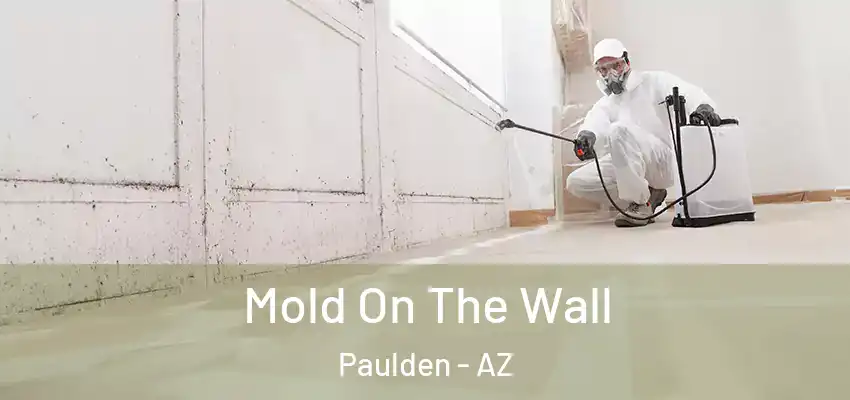  Mold On The Wall Paulden - AZ
