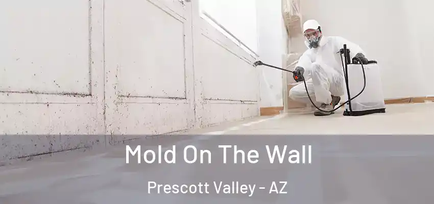  Mold On The Wall Prescott Valley - AZ