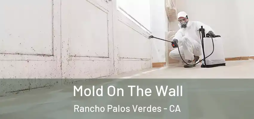  Mold On The Wall Rancho Palos Verdes - CA