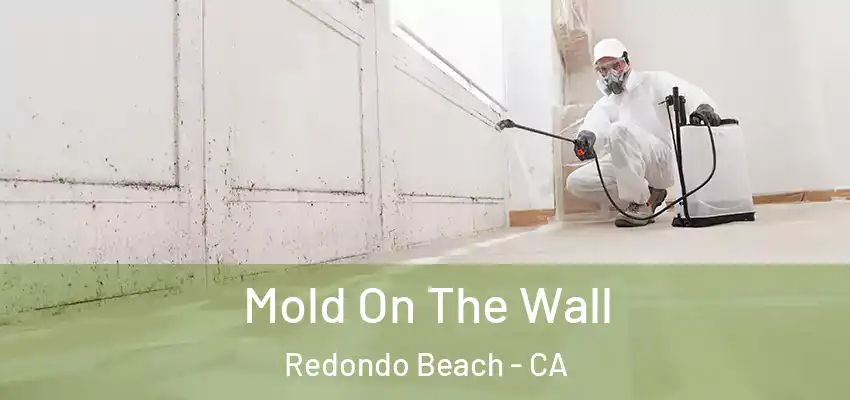  Mold On The Wall Redondo Beach - CA