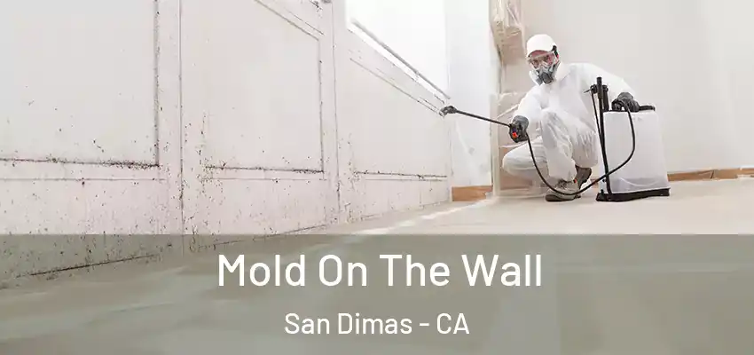  Mold On The Wall San Dimas - CA