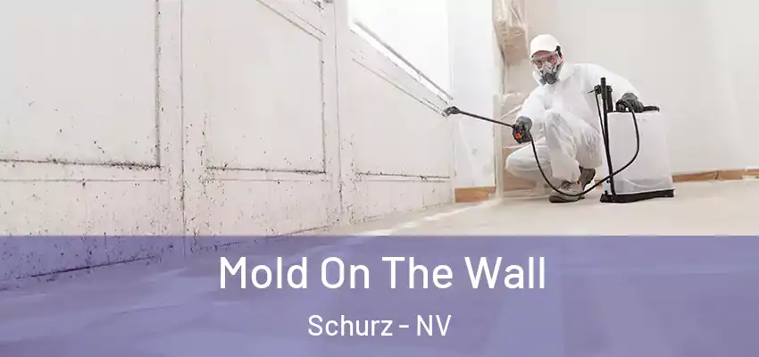  Mold On The Wall Schurz - NV