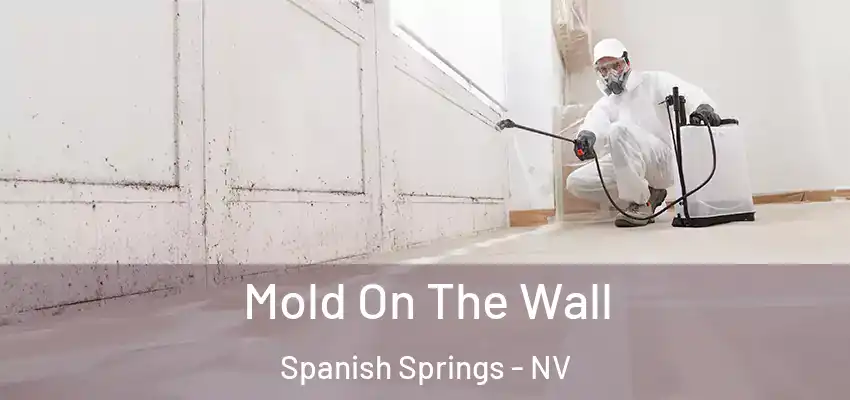 Mold On The Wall Spanish Springs - NV