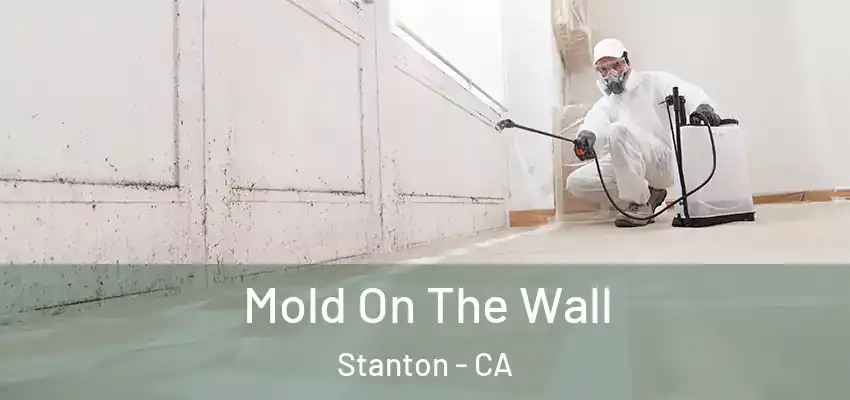  Mold On The Wall Stanton - CA