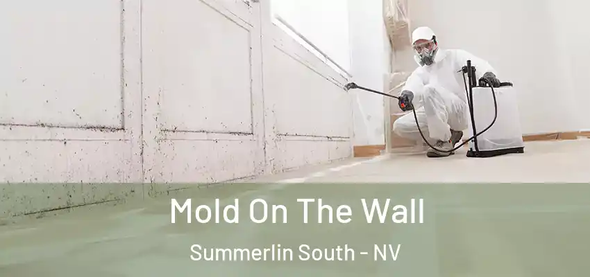 Mold On The Wall Summerlin South - NV
