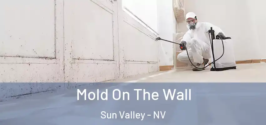  Mold On The Wall Sun Valley - NV