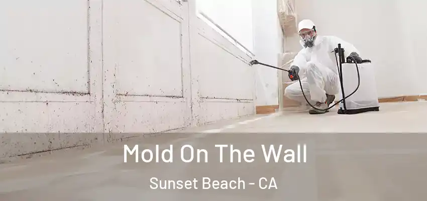  Mold On The Wall Sunset Beach - CA