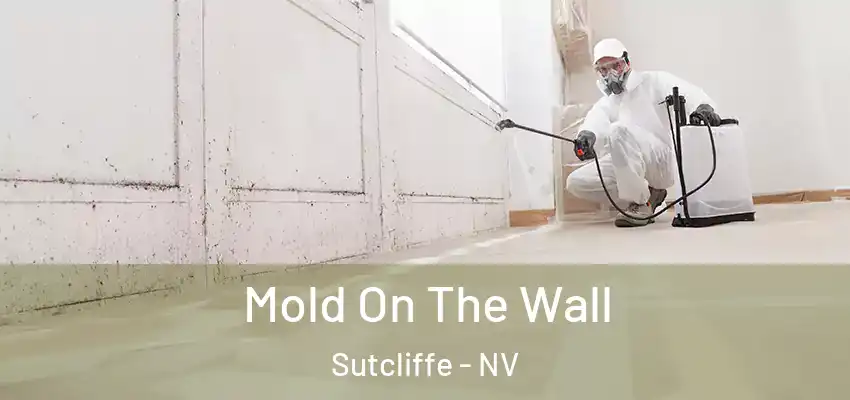  Mold On The Wall Sutcliffe - NV