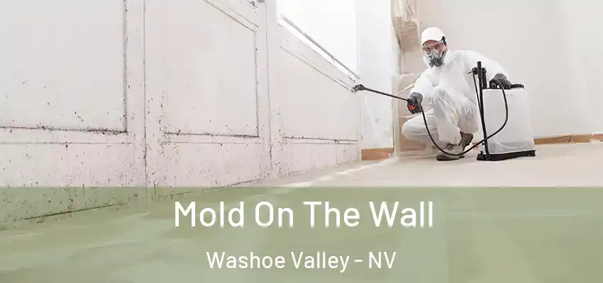 Mold On The Wall Washoe Valley - NV