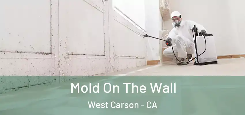  Mold On The Wall West Carson - CA