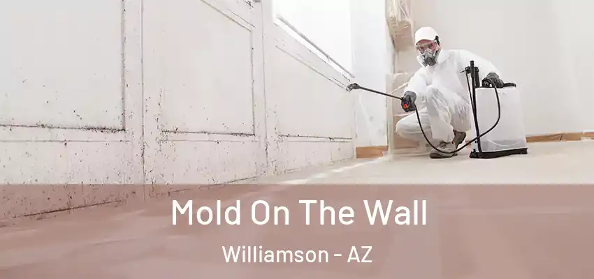 Mold On The Wall Williamson - AZ