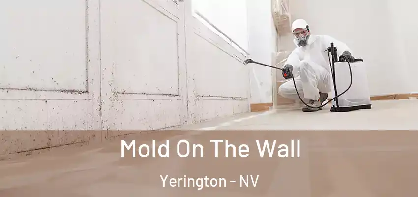  Mold On The Wall Yerington - NV