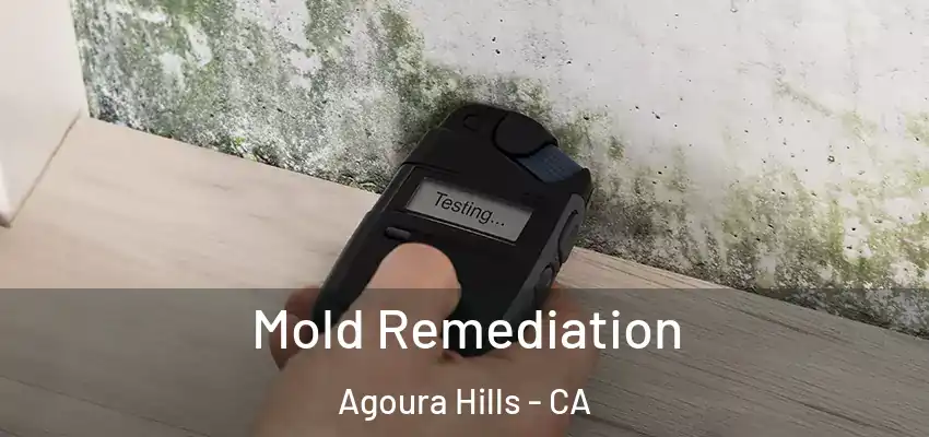  Mold Remediation Agoura Hills - CA