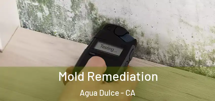 Mold Remediation Agua Dulce - CA