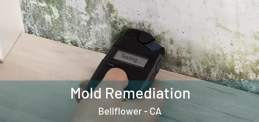 Mold Remediation Bellflower - CA