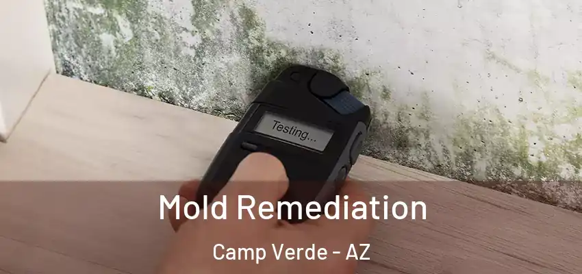  Mold Remediation Camp Verde - AZ