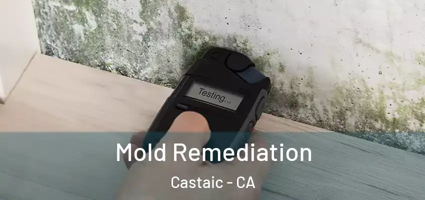 Mold Remediation Castaic - CA