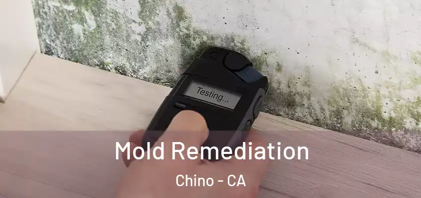  Mold Remediation Chino - CA