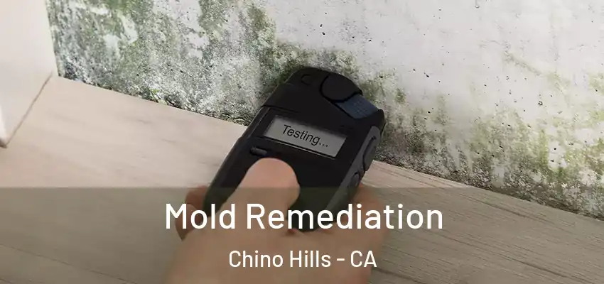  Mold Remediation Chino Hills - CA