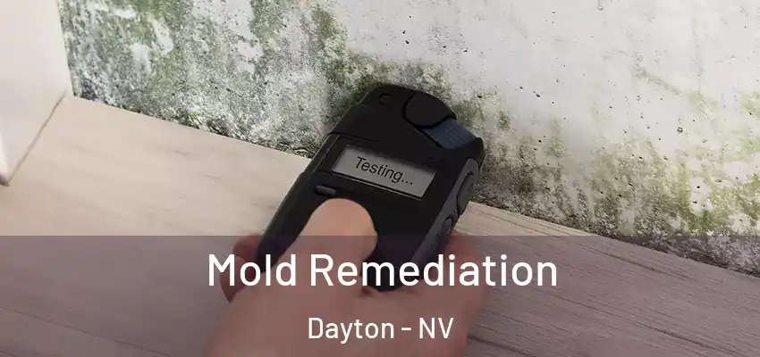  Mold Remediation Dayton - NV
