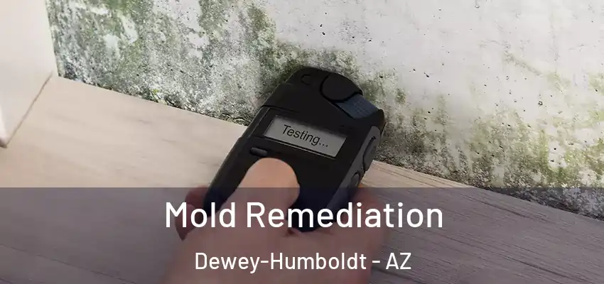  Mold Remediation Dewey-Humboldt - AZ