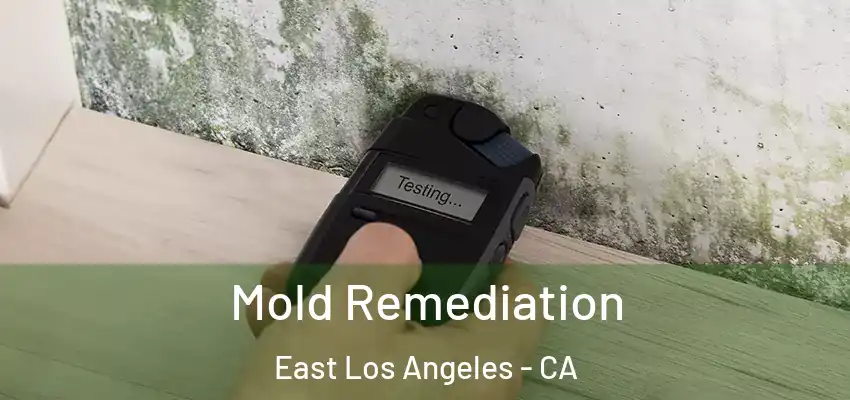Mold Remediation East Los Angeles - CA