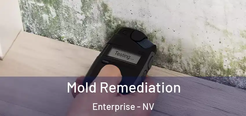 Mold Remediation Enterprise - NV