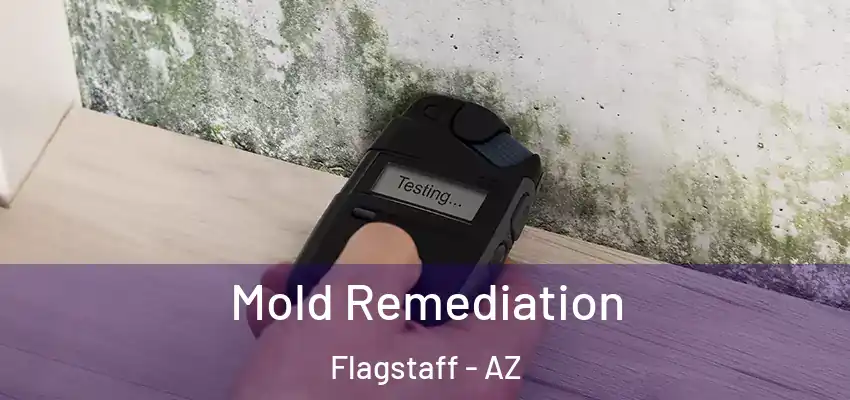  Mold Remediation Flagstaff - AZ