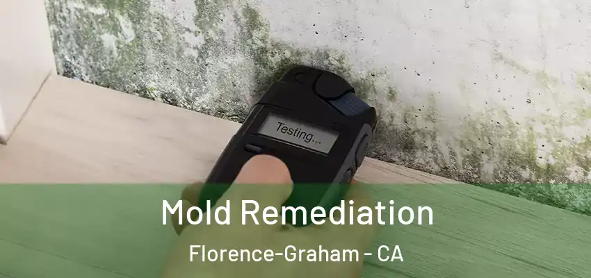  Mold Remediation Florence-Graham - CA