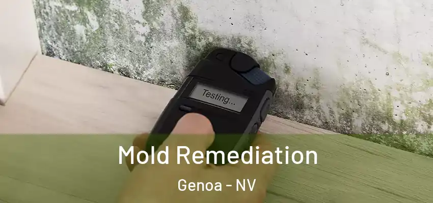 Mold Remediation Genoa - NV